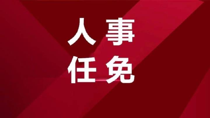 江苏最新人事任免公告发布，人事调整动态更新