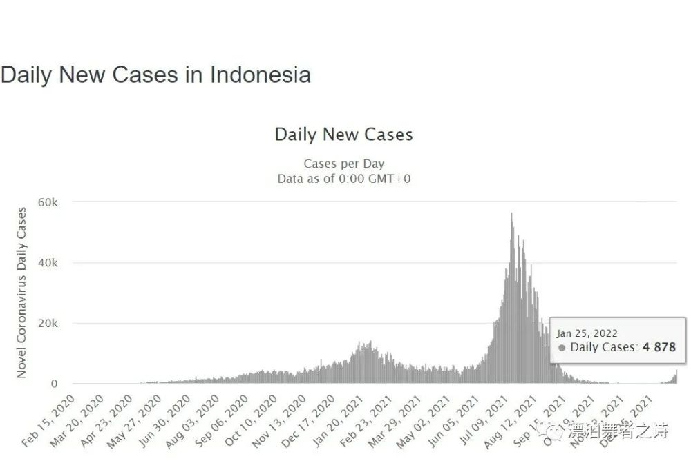 印尼新增病例趋势分析，现状、观点与阐述