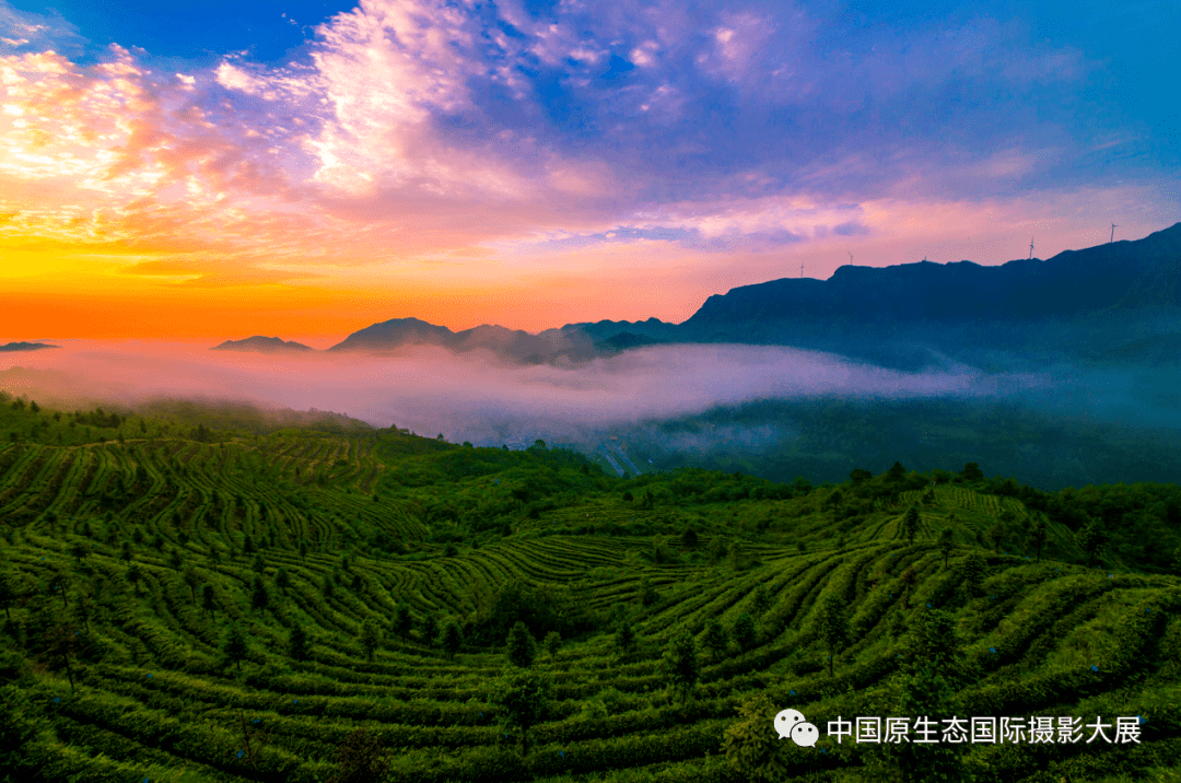 六安上市企业，自然美景的探索之旅