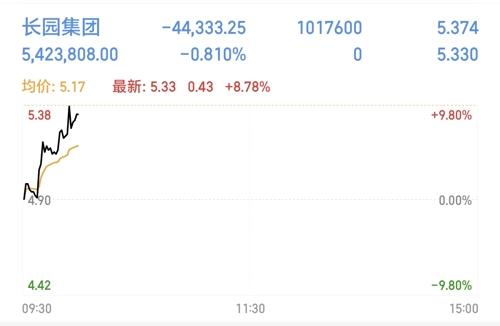 长园集团股票,长园集团股票，投资价值的深度解析