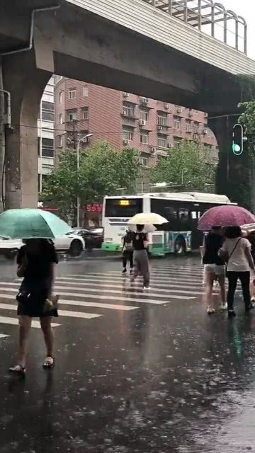 福建暴雨最新消息，雨中故事传递温暖与关怀