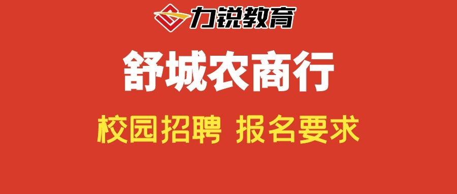 舒城最新招聘信息,舒城最新招聘信息，观点阐述与分析