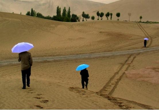 下雨图片真实最新,下雨图片真实最新，自然现象的独特魅力