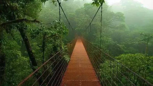 最新门事件图片，自然美景的心灵之旅探索